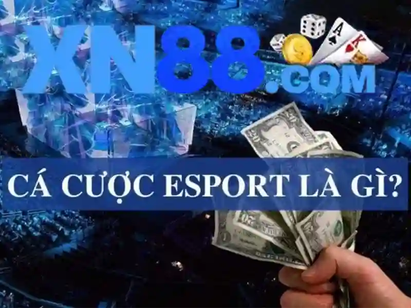 Cách Đọc Cầu Xóc Đĩa Chuẩn Với XN88 – Hướng Dẫn Từ Chuyên Gia - xn88 Cách Đọc Cầu Xóc Đĩa Chuẩn Với XN88 – Hướng Dẫn Từ Chuyên Gia - xn88