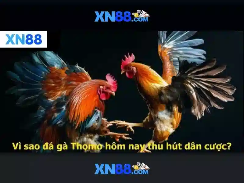 💎danh sách đỗ chuyên bắc ninh 2023-2024💎 💎danh sách đỗ chuyên bắc ninh 2023-2024💎