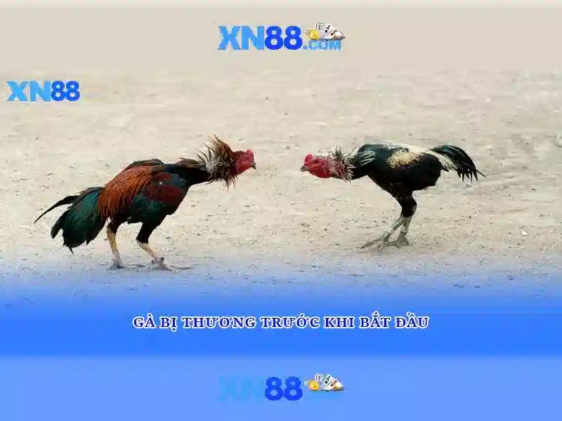 💎slots lv sister sites💎 💎slots lv sister sites💎