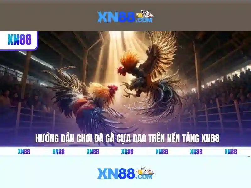 💎top10 nhà cái uy tín nhất việt nam 2024💎 💎top10 nhà cái uy tín nhất việt nam 2024💎