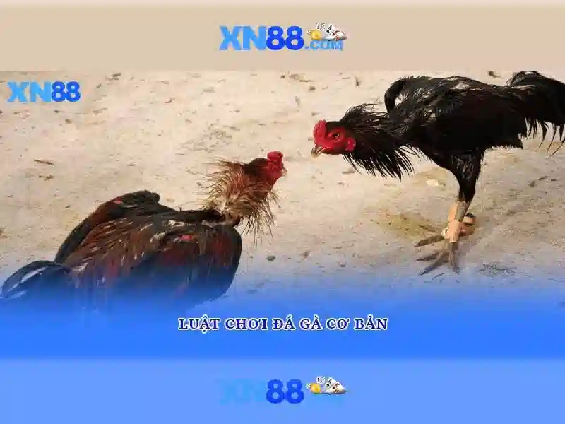 💎keo+nha+cai dxmg💎 💎keo+nha+cai dxmg💎