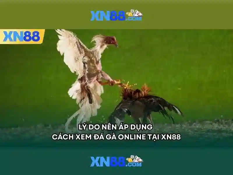 💎sv388 nhà cái đá gà uy tín châu á💎 💎sv388 nhà cái đá gà uy tín châu á💎