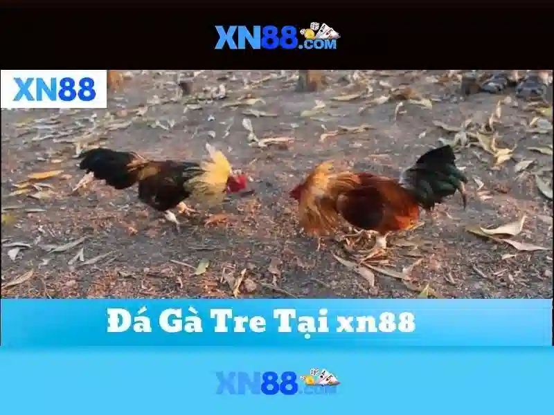 💎tỷ lệ kèo cá cược nhà cái hôm💎 💎tỷ lệ kèo cá cược nhà cái hôm💎