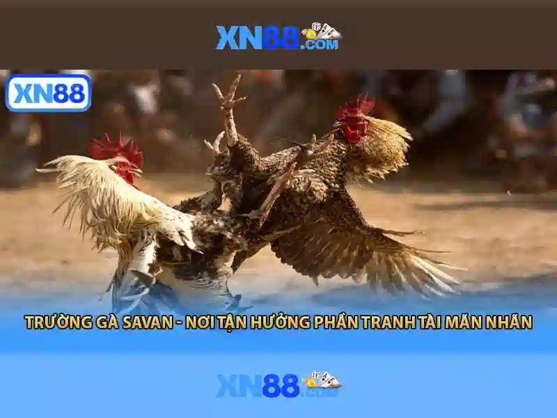 💎sc slots youtube💎 💎sc slots youtube💎