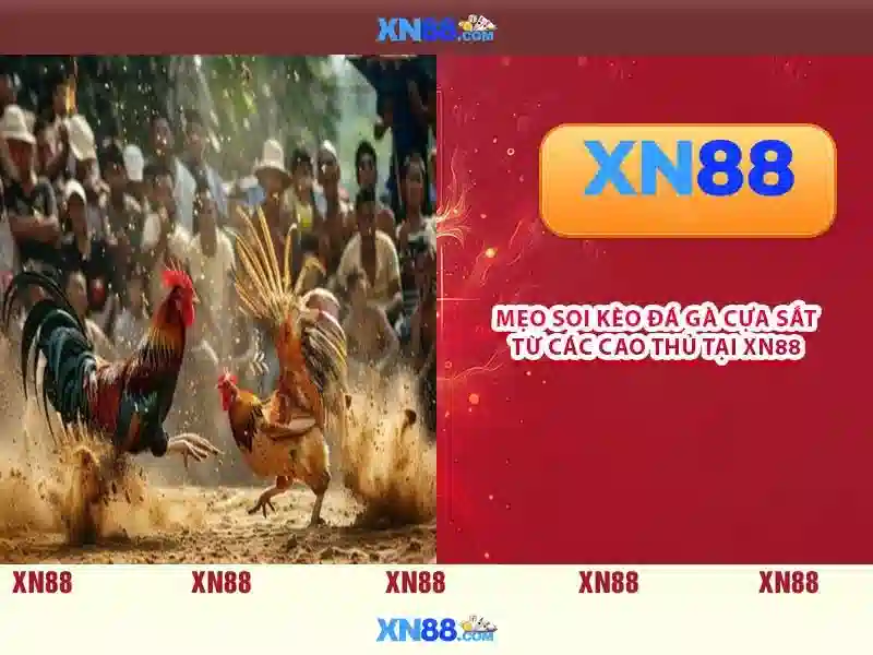 💎samsung a10 sd card slot💎 💎samsung a10 sd card slot💎