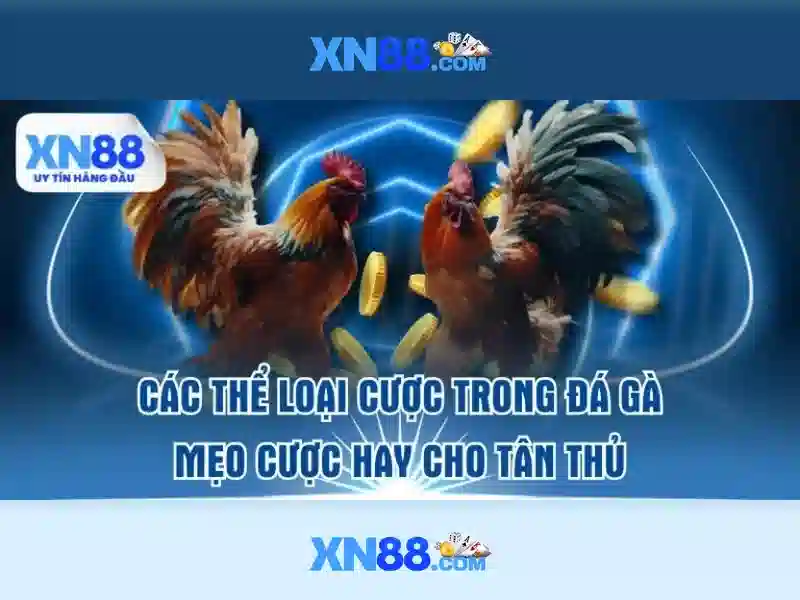 💎tố giác tội phạm đánh bạc online💎 💎tố giác tội phạm đánh bạc online💎