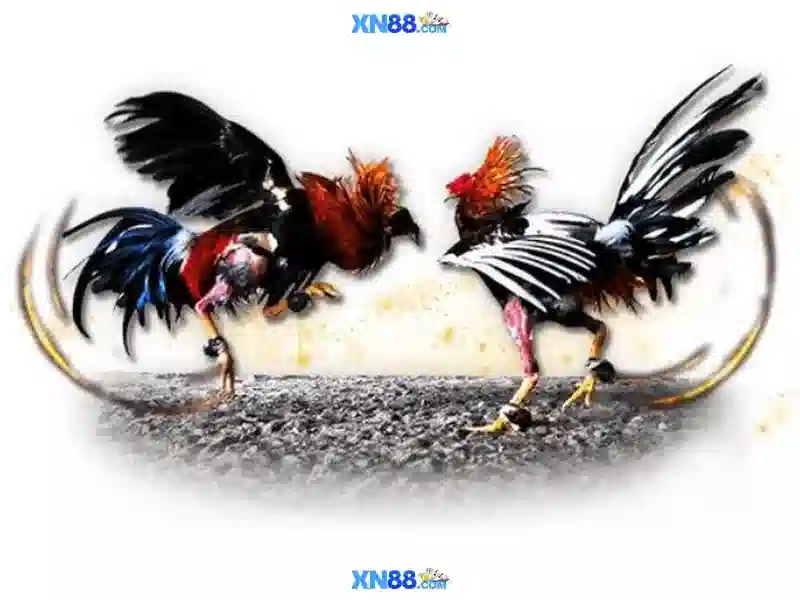 slot game - xn88 slot game - xn88