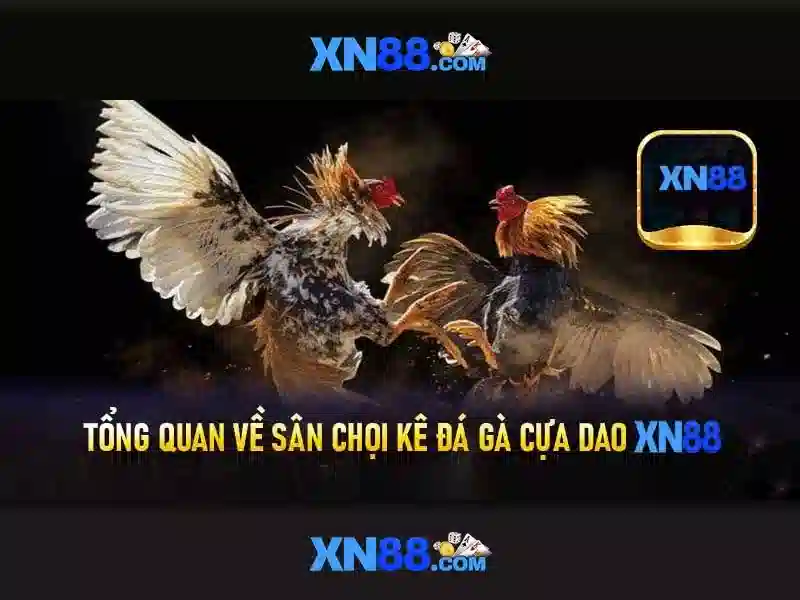 💎best paying slots on fanduel💎 💎best paying slots on fanduel💎