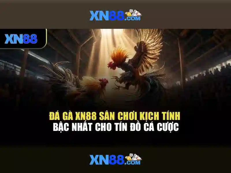 💎ti le ca cuoc tv💎 💎ti le ca cuoc tv💎