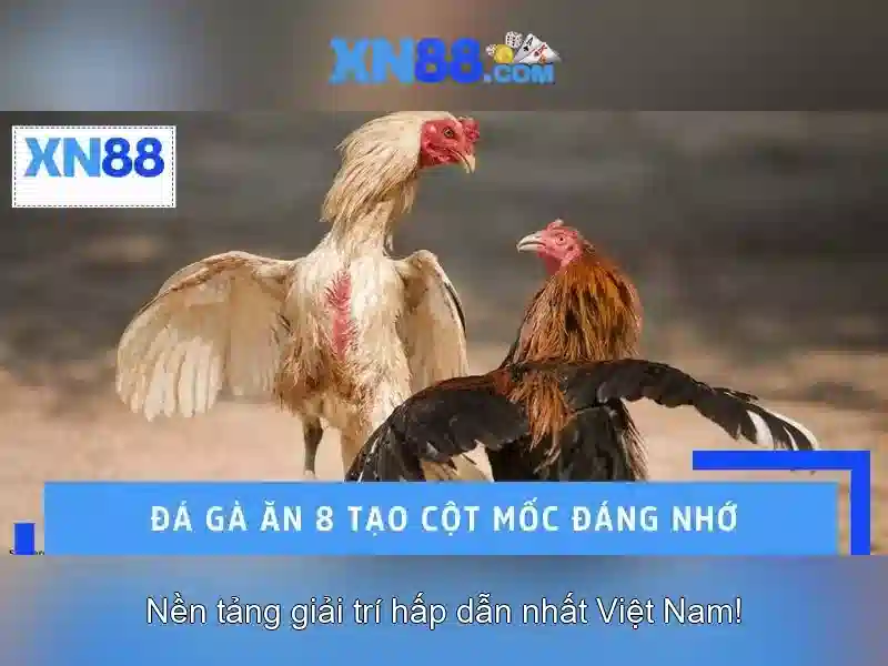 nổ hũ slot - xn88 nổ hũ slot - xn88