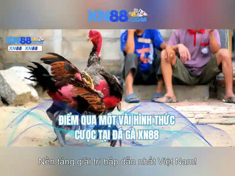 💎888 slot 178 cash in💎 💎888 slot 178 cash in💎