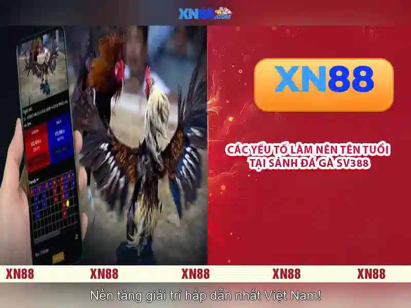 💎truc tiep bong da keo nha cai 89💎 💎truc tiep bong da keo nha cai 89💎