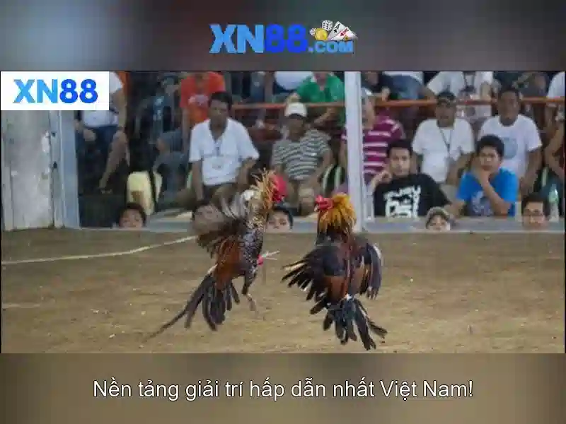 💎nhịp sống tây bắc 2021💎 💎nhịp sống tây bắc 2021💎